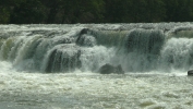 PICTURES/Sandstone Falls - New River Gorge/t_P1110664.JPG